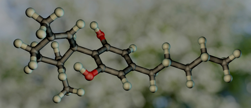 Das Endocannabinoid-System - Ein komplexes Informationsnetzwerk