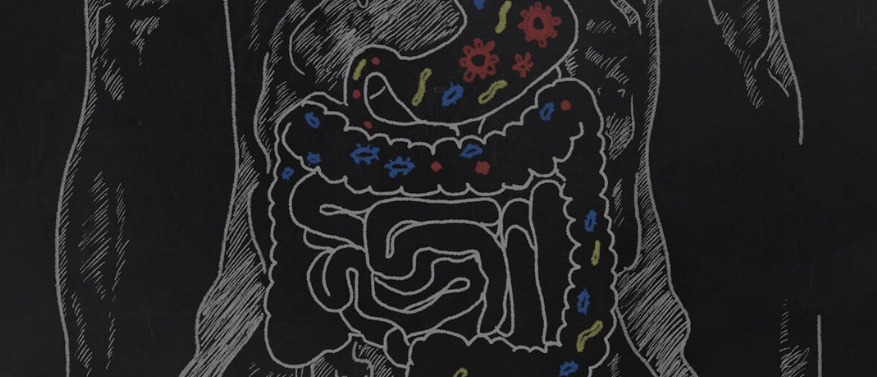 Darmbakterien: Wie sie unser Gehirn und unsere Stimmung beeinflussen